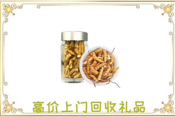 巧家县周边回收虫草
